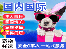 保山云瑞空运国际宠物托运 【国